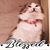 Eriona Fane Presnar's profile image