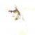 Rebecca Mary Shellhorn's profile image