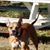 John Flansburg's profile image