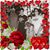 Billie Forster's profile image