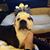 Athena Bartram's profile image