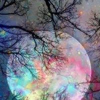 Patricia Hill's profile image
