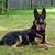 Amie Holland Buzza's profile image