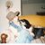 Stephanie Smith Plunkett's profile image