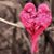 MiMi Love's profile image