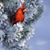 Jim Phyllis Mangin's profile image