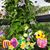 Nancy Wolf Davis's profile image