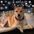Christi Anderson Ybarra's profile image
