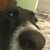 Cheryl Petti's profile image