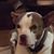 Kevin Baker's profile image