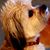 Kathi McNabb Nordstrom's profile image