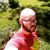Steven Pedigo's profile image