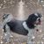 June Gordon's profile image