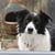 Carole Geary Jones's profile image