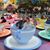 Amalia Molly's profile image
