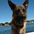 Kathy Sistare's profile image