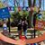 Linda Gallert-Wood's profile image