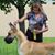 Tonda Genther's profile image