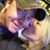 Steve Smits's profile image