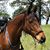 Linda Winfield's profile image