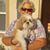 Pat Thompson's profile image