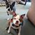 Carrie Hayton's profile image