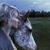 Sarah Beth's profile image
