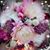 Mindy Wood's profile image