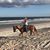 Sherry Morgan's profile image