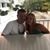 Nicole Dias Barbour's profile image