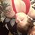 Mandi Lou's profile image