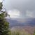 Deborah Delano Houchins's profile image