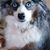 Patricia Munsil's profile image