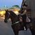Sharon Alger Little's profile image