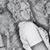 ShellBell Mccrimmon's profile image
