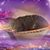 Dawn Sterns Middle's profile image