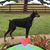 Arthur R. Harris's profile image