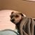 Stephanie Thorne-Connolly's profile image