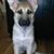 Doris Kostelecky's profile image