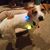 Kristen Miller Edmonds's profile image