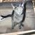 Kathy Jones's profile image