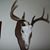 Orval Brewer Jr.'s profile image