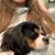 Danette Thunder's profile image