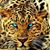 Emanuel Santana's profile image