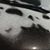 Nicole Borchers's profile image