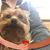 Pam Francek's profile image