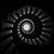 Maxime Choo's profile image