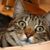 Kathy Larsen's profile image