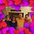 Don N Emily Hickman's profile image
