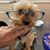 Sally Wong-Faust's profile image